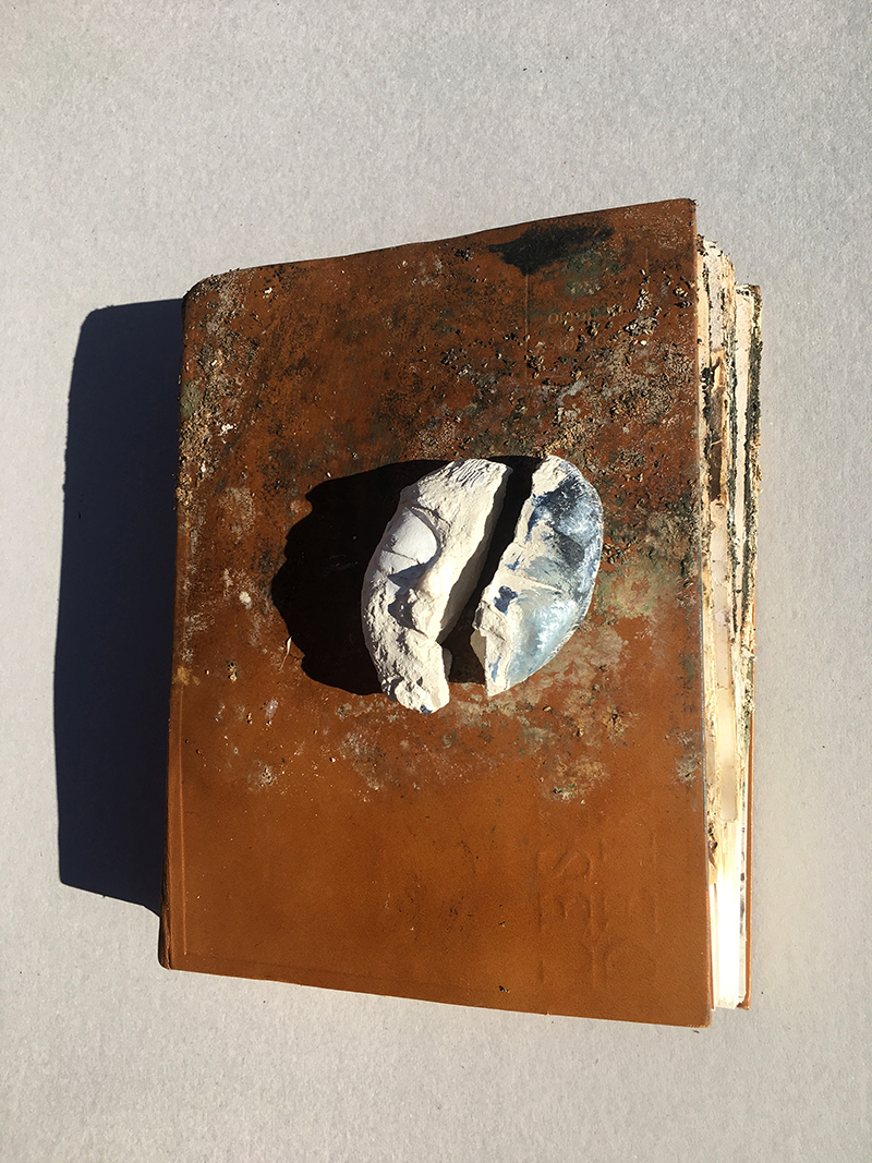 Trau Ma -Testament artistique-