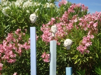 Trau Ma Skulpturengarten 2016 N/A