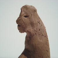 Trauma -Witwe-Veuve-