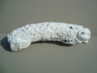 Trau Ma - Gefangenschaft - 