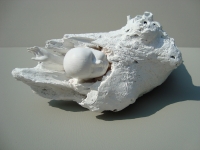 Trau Ma - Spätgeburt -