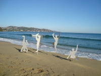 Trau Ma - Sun Beach Stars -