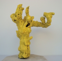 Trau Ma - Yellow Love Tree -