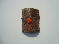 Trau Ma -Kuckuckskind 1-